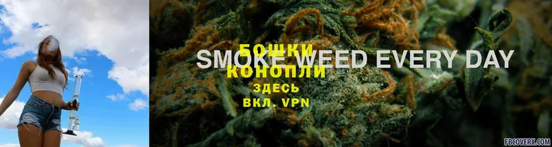 Бошки Шишки SATIVA & INDICA  магазин    Приволжск 